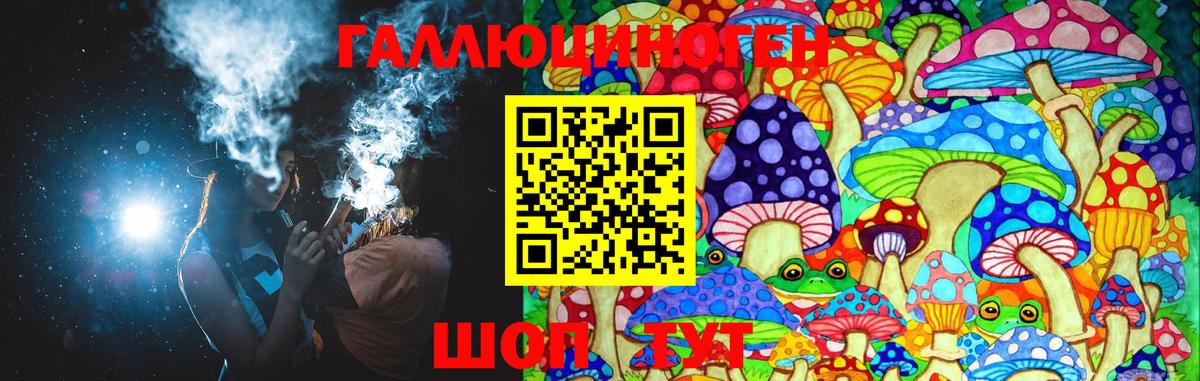 Галлюциногенные грибы Psilocybe Белореченск